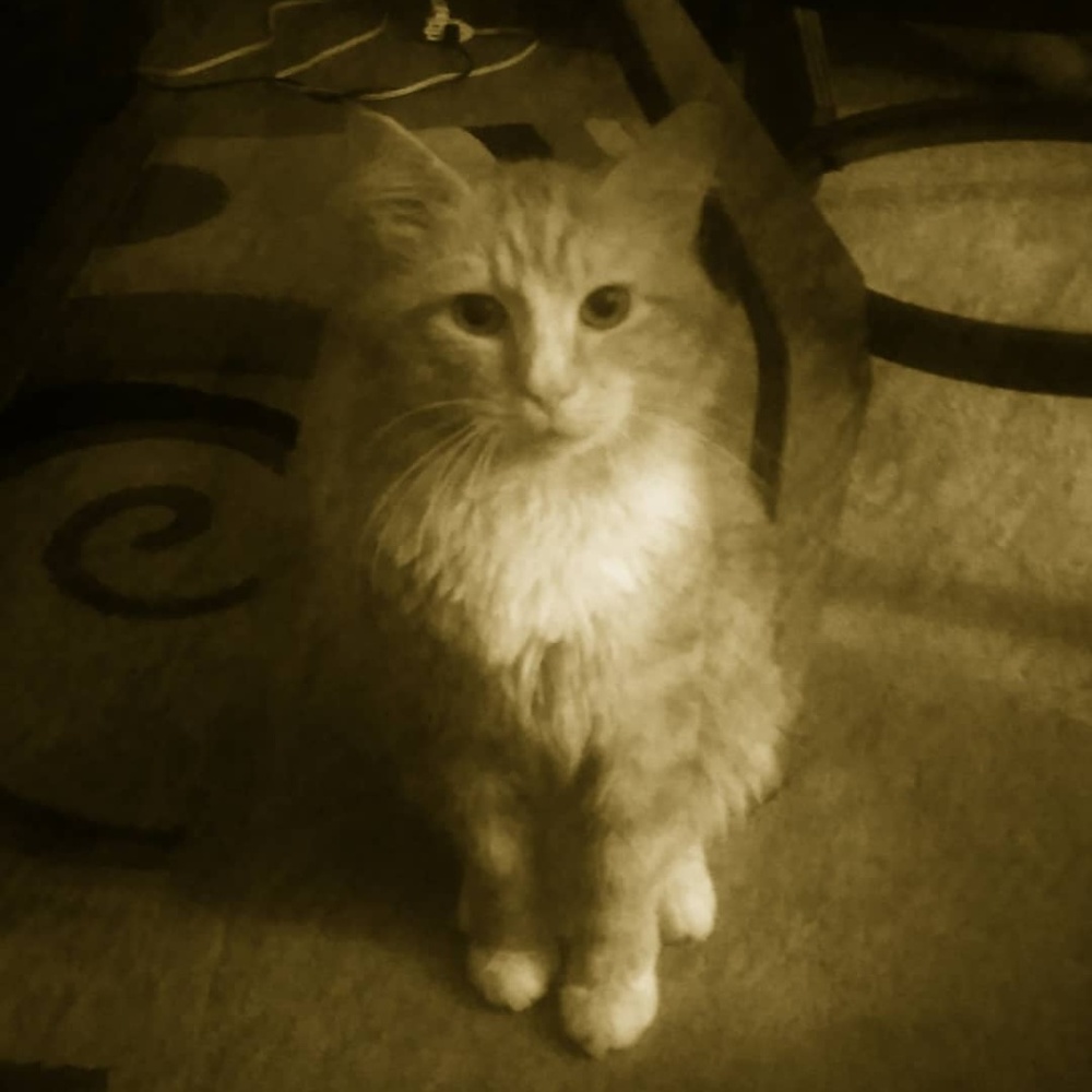 Clothing, Household Items and more!!